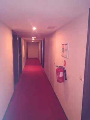 a long corridor with a red carpet in a hallway at Californie Appartement in Nice