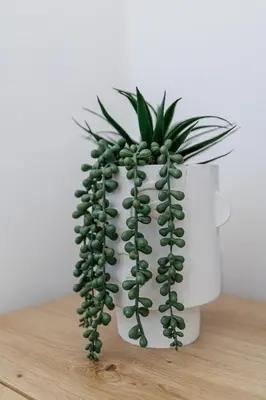 a green plant in a white vase on a table at Cozy and bright appartement - Port of Nice in Nice