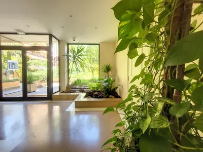 an open living room with a plant at Nestor&Jeeves - PALM RIVIERA - Central - Close Old Town in Nice