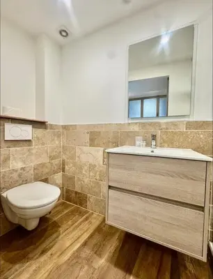 a bathroom with a toilet and a sink and a mirror at Superbe deux pièces dans le vieux village in Saint-Laurent-du-Var