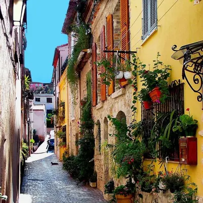 an alley with plants on the side of a building at Jolie studio - 2 personnes - Saint laurent du Var in Saint-Laurent-du-Var