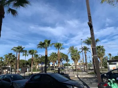 a group of cars parked in a parking lot with palm trees at Studio NICE near the sea in Nice