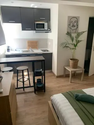 a small kitchen and living room with a bed at Bottero nice in Nice