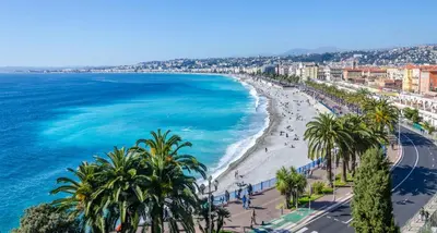 a view of a beach with palm trees and the ocean at Plein centre, calme et cosy in Nice