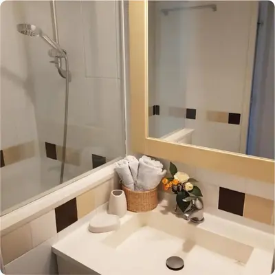a bathroom with a sink with a shower and a mirror at Mer et Soleil in Villefranche-sur-Mer