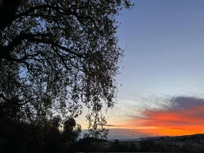 a tree with a sunset in the background at Golden hours luxury and panoramic view in Nice