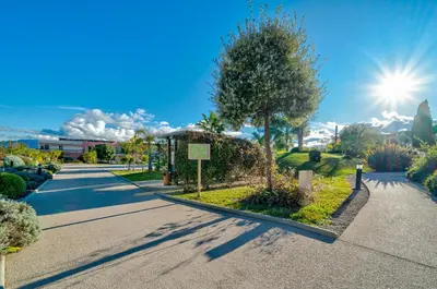an empty street with a tree and a building at Superbe 2 pièces - Piscine et garage in Nice