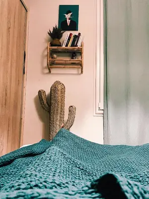 a bedroom with a cactus next to a bed at Appartement 2 pièces bourgeois meublé, aéroport tramway in Nice