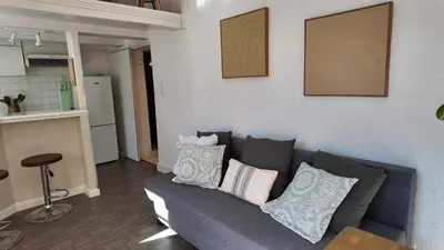 a living room with a gray couch with pillows at Studio climatisé cosy dans une villa avec parking in Cagnes-sur-Mer