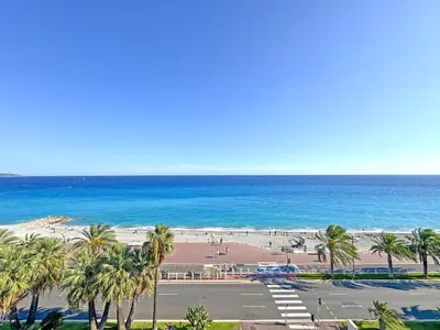 a view of a beach with palm trees and the ocean at Panoramic Sea front Cote d Azur in Nice