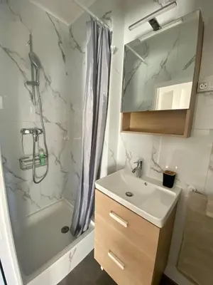 a bathroom with a sink and a shower and a mirror at Studio moderne au Carré d'Or in Nice