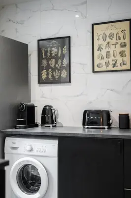 a laundry room with a washer and a washing machine at Les Palmiers, quiet and air-conditioned in Nice