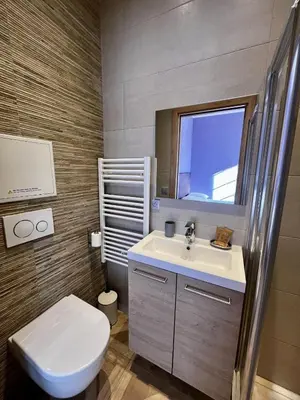 a bathroom with a toilet and a sink and a mirror at Studio Lavande cosy et central à Cagnes-sur-Mer in Cagnes-sur-Mer