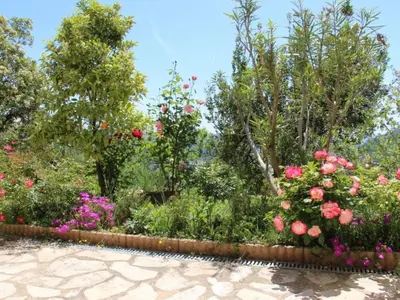 a garden with roses and other plants at Holiday Home Rocabel mit Blick auf das Wasser by Interhome in Gattières