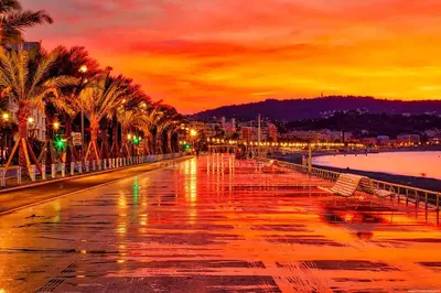 a wet street with palm trees and a sunset at Charmant Duplex Vieux Nice, proche mer, WiFi, Clim in Nice
