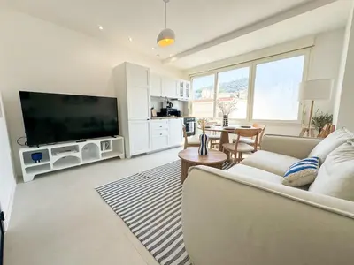 a living room with a couch and a large television at Confortable & Élégant climatisé au Port de Nice in Nice