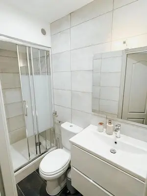 a bathroom with a toilet and a shower and a sink at Elegant Apartment with Balcony, Central Nice in Nice