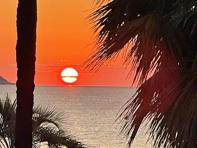 a sunset over the ocean with a palm tree at Le Copacabana Riviera in Nice