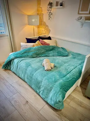 a large green bed with a towel on it at Charmant studio pour amoureux in Nice