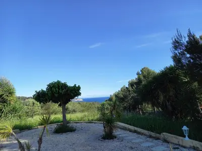 a garden with palm trees and the ocean in the background at Villa Cornetti in Nice