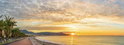 a beach with palm trees and a sunset at Small Duplex - Downtown - Close to Beaches in Nice