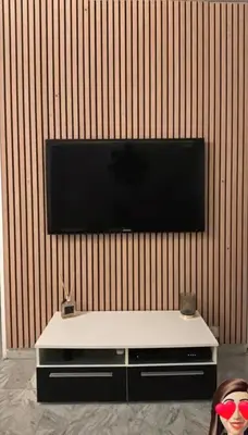 a living room with a television on a wall at 2 pièces RDJ Proche Mer in Nice