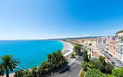 a view of a beach with palm trees and the ocean at Old Nice appartement entier proche mer et plage et AC in Nice