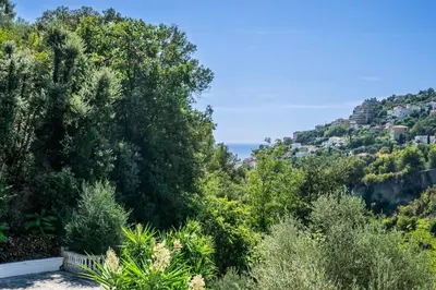 a view of a hill with trees and the ocean at House on the Hill in Nice