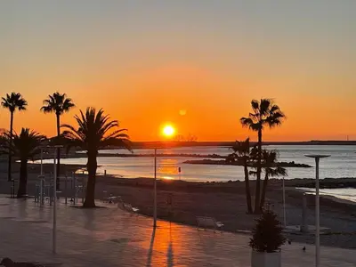 a sunset on a beach with palm trees and the ocean at Appartement Pieds dans l'eau in Saint-Laurent-du-Var