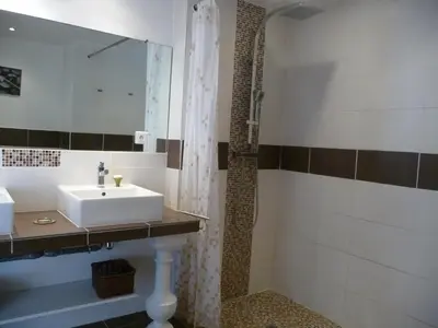 a bathroom with a sink and a shower at Appartement Castagniers in Castagniers