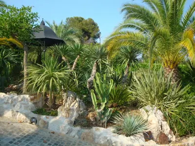 a garden with palm trees and a swimming pool at La Bergerie B&B in Vence