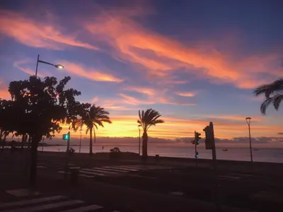 a sunset on a beach with palm trees and the ocean at Hôtel du Bord de Mer 