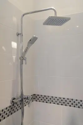 a shower with a shower head in a bathroom at Suite Imperazur Five stars Holiday House in Nice