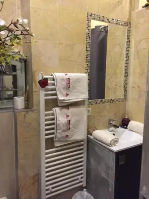 a bathroom with a towel rack next to a sink at Chambre calme centre Nice labellisée in Nice