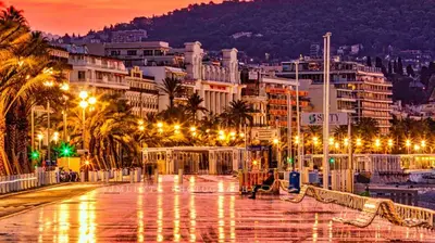 a city at night with palm trees and buildings at Carré d'or Very nice appart Near the beach in Nice