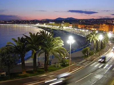 a city street with palm trees and a beach at night at Les Pieds dans l'Eau in Nice