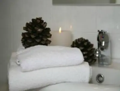a group of towels sitting on a bath tub with pine cones at Villa Eden in Nice