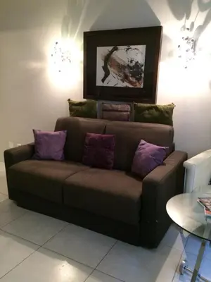 a brown couch in a living room with purple pillows at Je suis à Nice in Nice