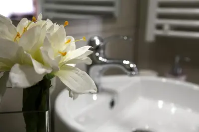 a vase of flowers sitting next to a sink at Stylish 2 Room Flat 60 meters to the beach in Nice