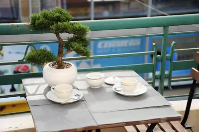 a table with a tree in a pot and saucers at Suite Halevy 5 stars Holiday House in Nice