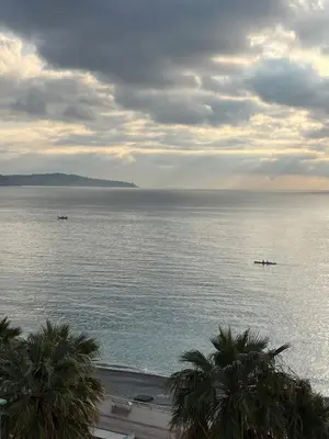 a view of a large body of water with palm trees at France Nice Promenade Des Anglais 80m² Piano in Nice