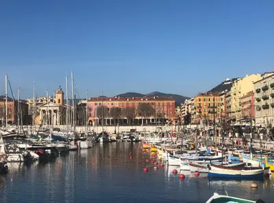 a bunch of boats are docked in a harbor at Charmant studio tout proche du port in Nice