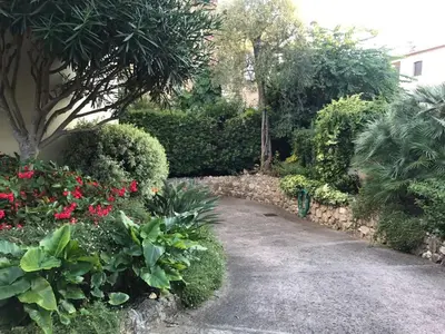 a garden with flowers and a walk way at 