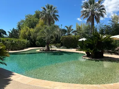a large swimming pool with palm trees in a yard at Domaine De Respelido in Carros