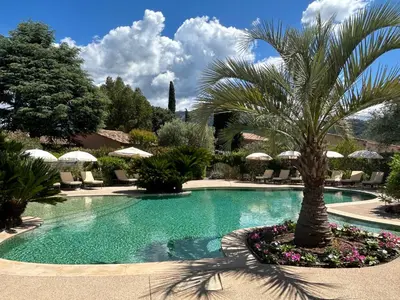 a palm tree sitting next to a swimming pool at Domaine De Respelido in Carros