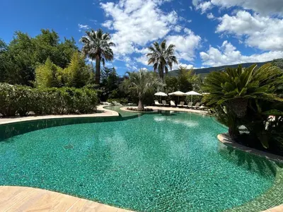 a large swimming pool with trees and palm trees at Domaine De Respelido in Carros
