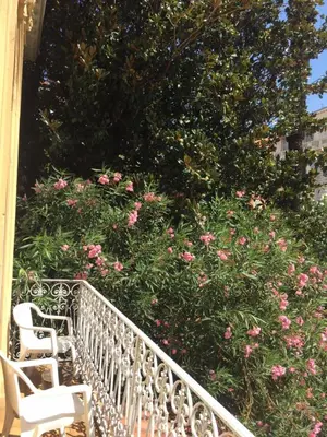 two white chairs sitting on a balcony with pink roses at Hôtel Belle Meunière in Nice