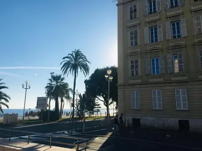 a building with a palm tree next to a street at Jade Duplex - No Better Location In Nice in Nice