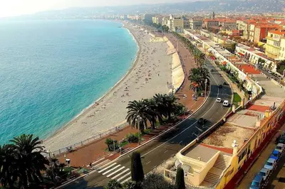 a view of a beach with palm trees and the ocean at Beautiful apartment Rue De La Croix Vieux Nice in Nice