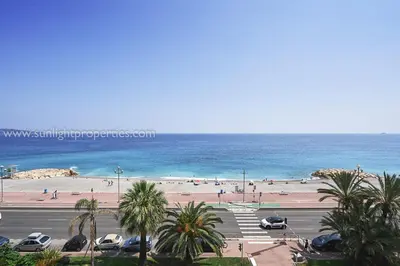 a view of a beach with palm trees and a parking lot at Sunlight Properties - 